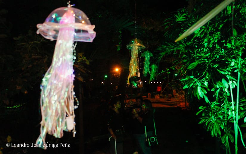 NATURALEZA-ENCENDIDA--(11)