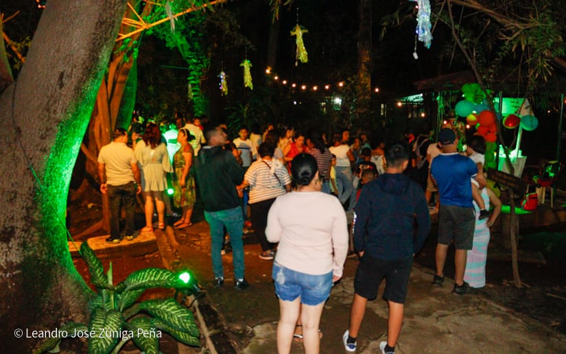 NATURALEZA-ENCENDIDA--(2)