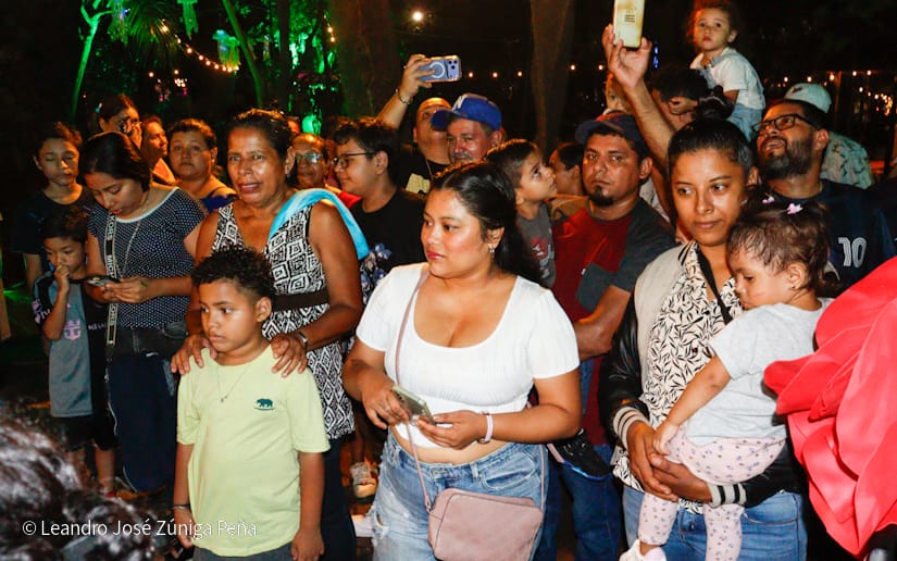 NATURALEZA-ENCENDIDA--(24)