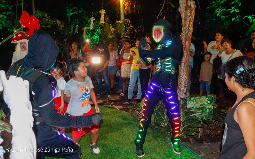 NATURALEZA-ENCENDIDA--(25)