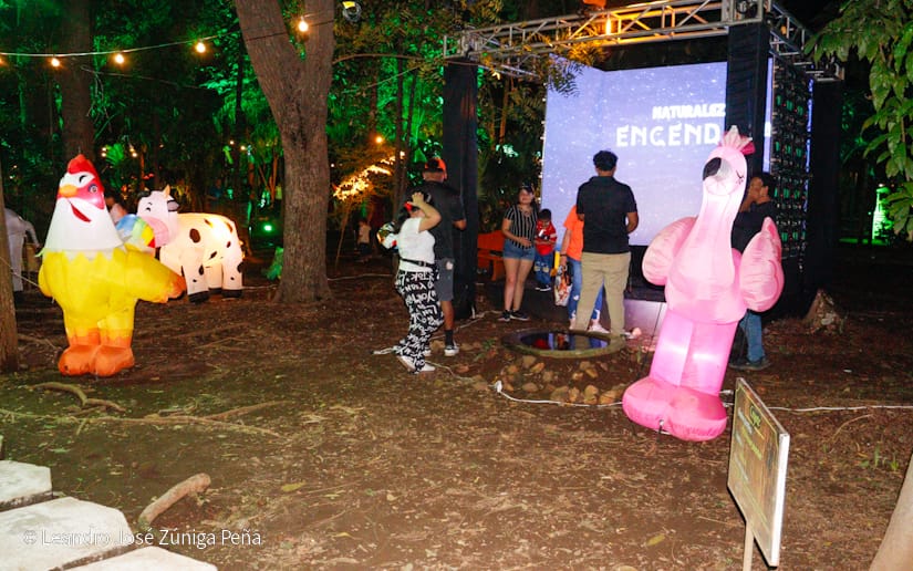 NATURALEZA-ENCENDIDA--(28)