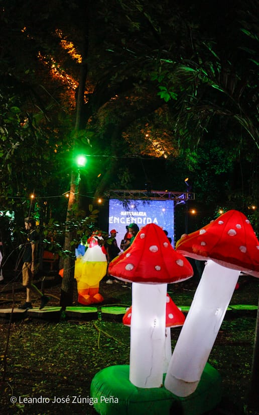 NATURALEZA-ENCENDIDA--(3)