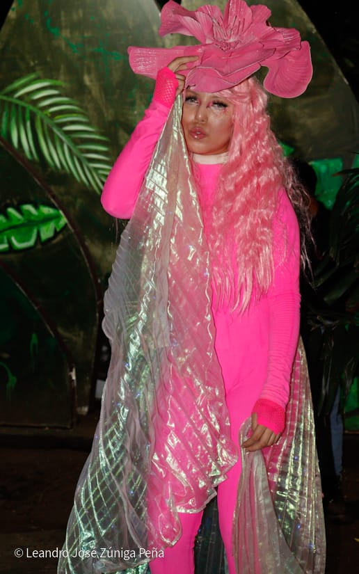 NATURALEZA-ENCENDIDA--(4)