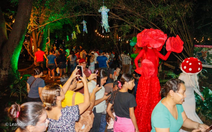 NATURALEZA-ENCENDIDA--(5)