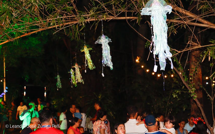 NATURALEZA-ENCENDIDA--(6)