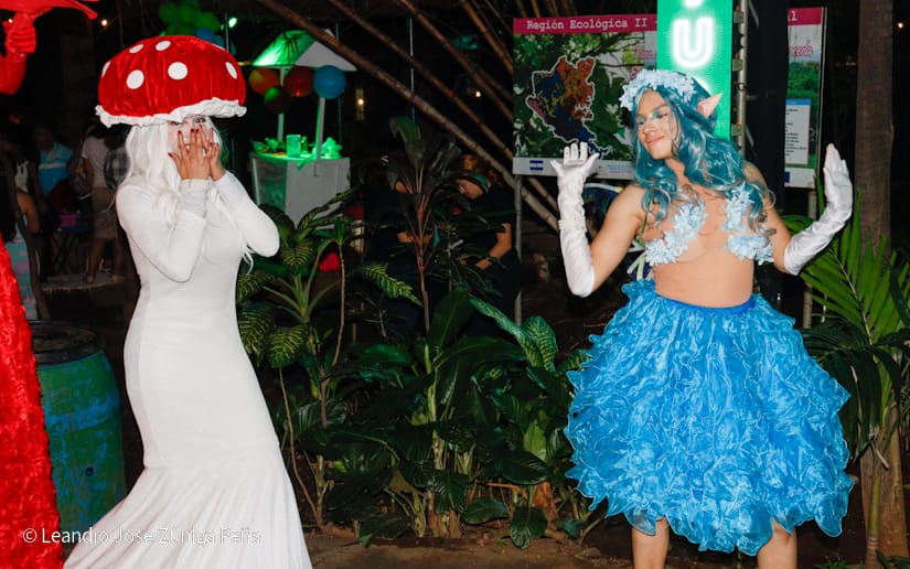 NATURALEZA-ENCENDIDA--(9)