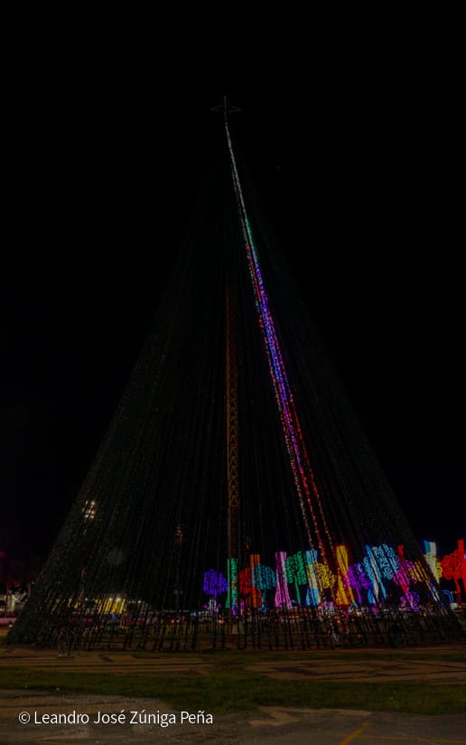 Luces-Navidenas--(1)