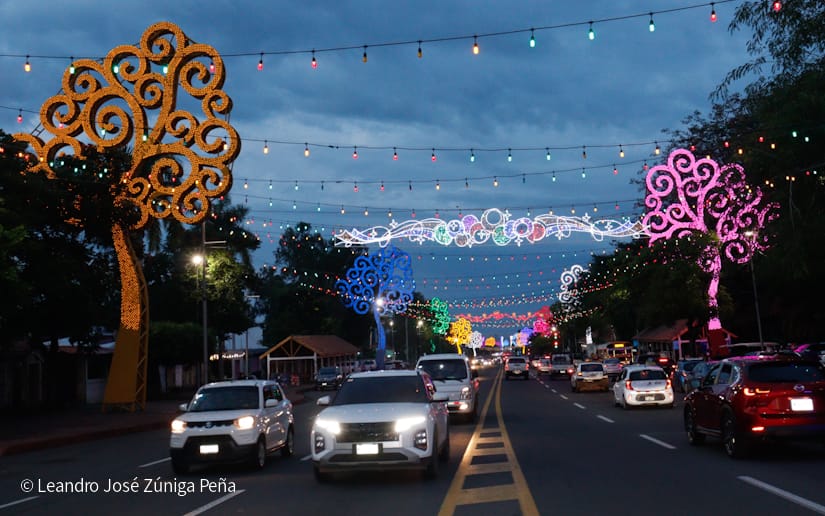 Luces-Navidenas--(13)