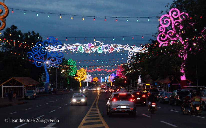 Luces-Navidenas--(15)