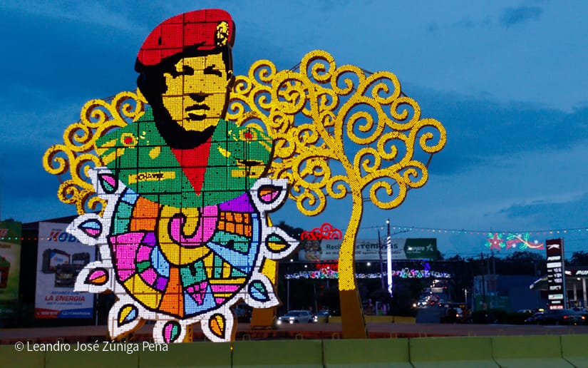 Luces-Navidenas--(18)