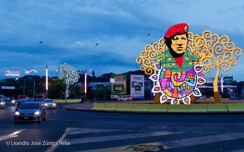 Luces-Navidenas--(20)