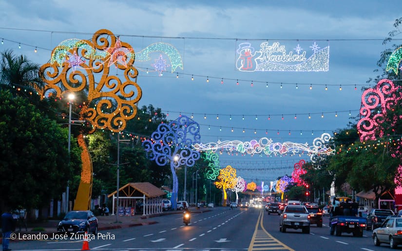 Luces-Navidenas--(21)