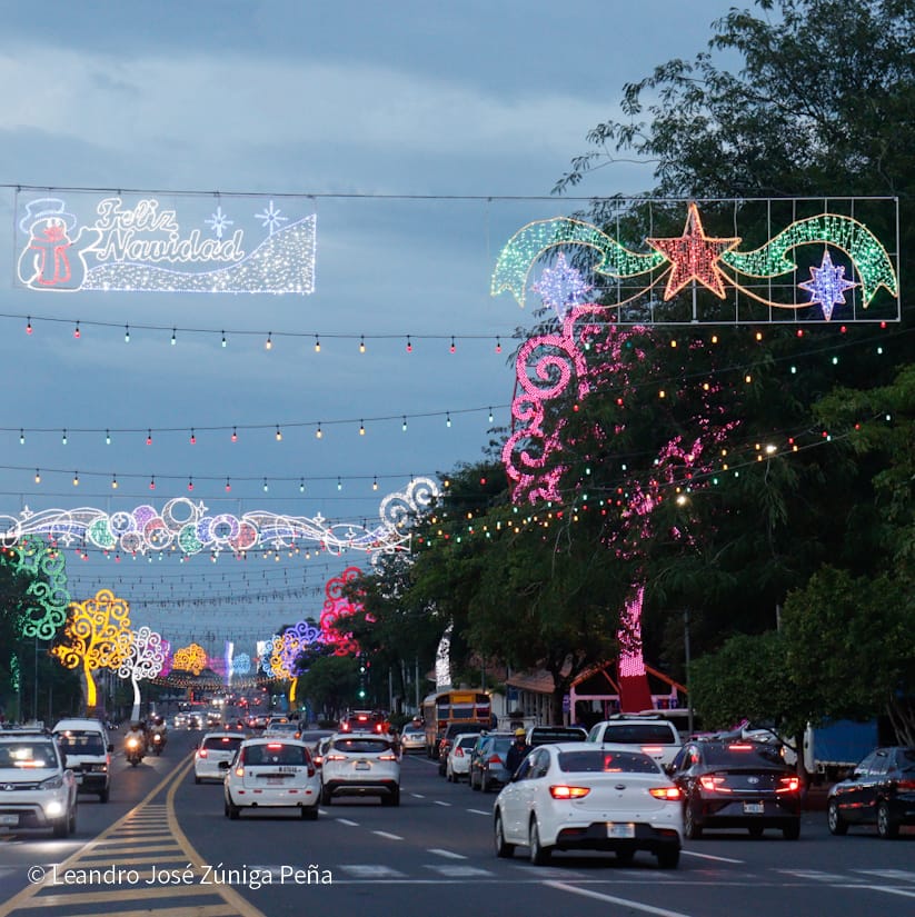 Luces-Navidenas--(22)