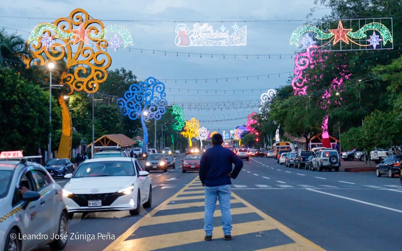 Luces-Navidenas--(23)