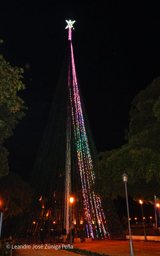 Luces-Navidenas--(4)
