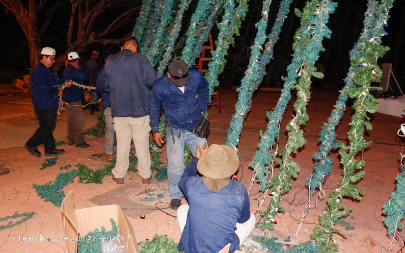 Luces-Navidenas--(6)