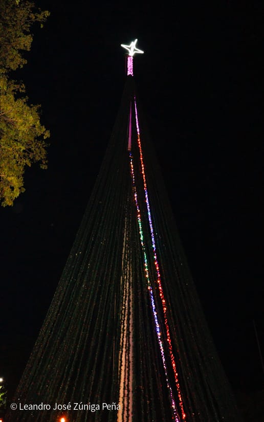 Luces-Navidenas--(9)