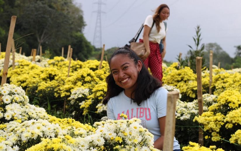 Cultivo-de-flores-Catarina-10