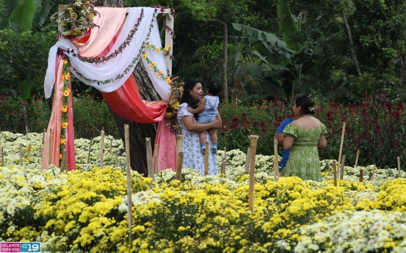 Cultivo-de-flores-Catarina-11