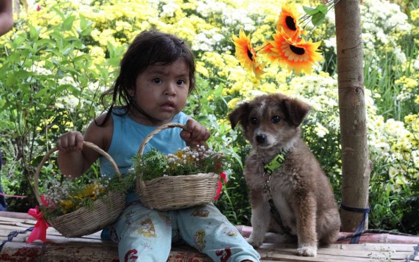 Cultivo-de-flores-Catarina-26