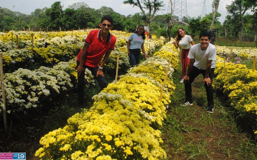 Cultivo-de-flores-Catarina-30
