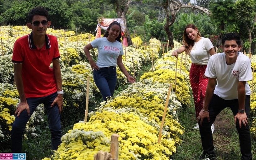 Cultivo-de-flores-Catarina-4