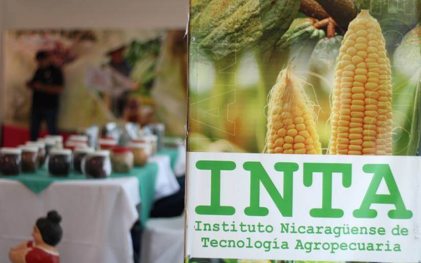 inta-diplomadovirtual-12