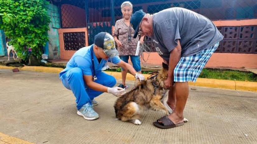 Vacunacion-Canina-11