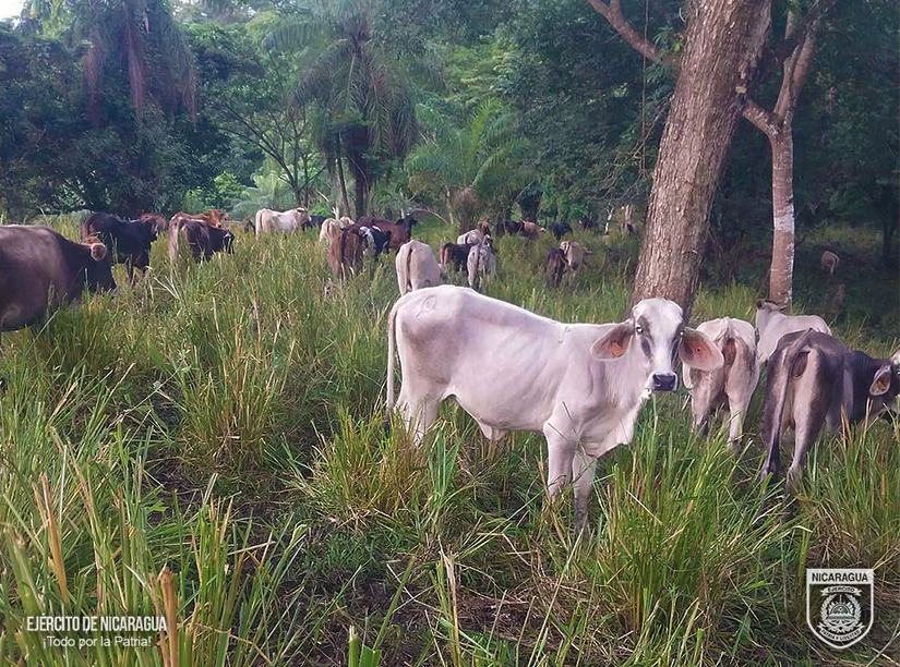 Destacamento-Militar-Sur-1