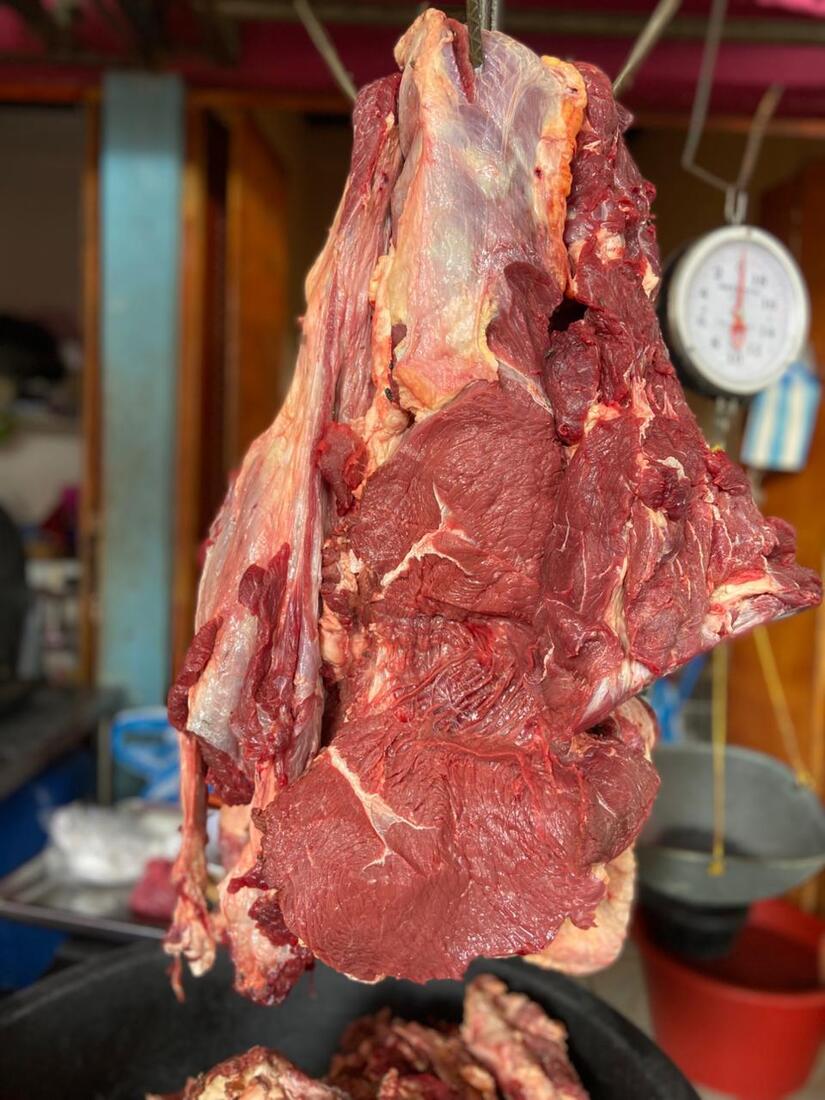 Produccion-de-carne-bovina-1