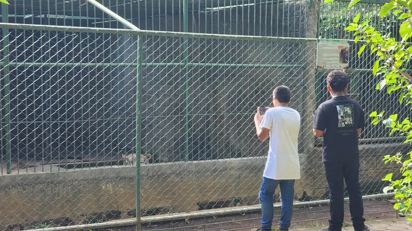 ZOOLOGICO-(11)