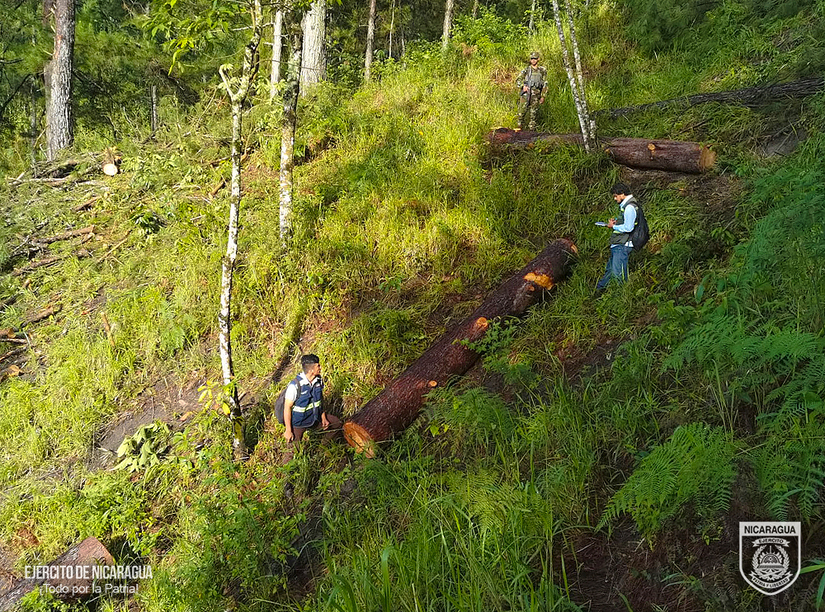 Ejṕercito-de-Nicaragua-1