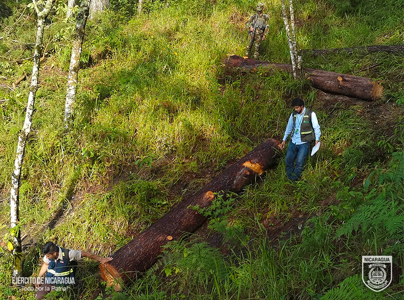 Ejṕercito-de-Nicaragua-2