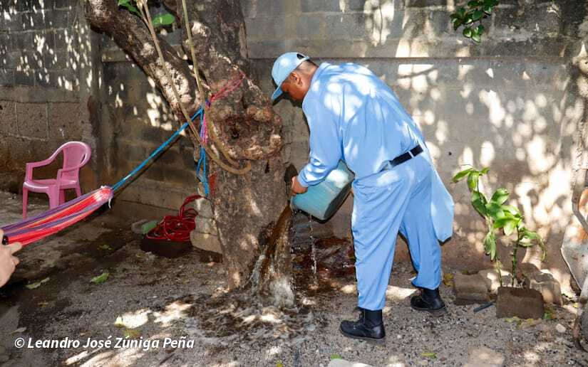 Eliminacion-de-zancudos-3