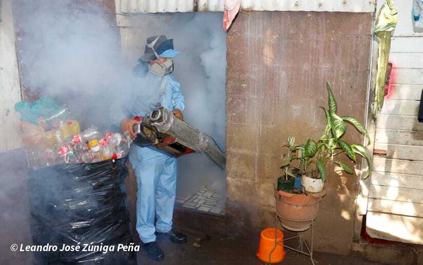 Eliminacion-de-zancudos-4