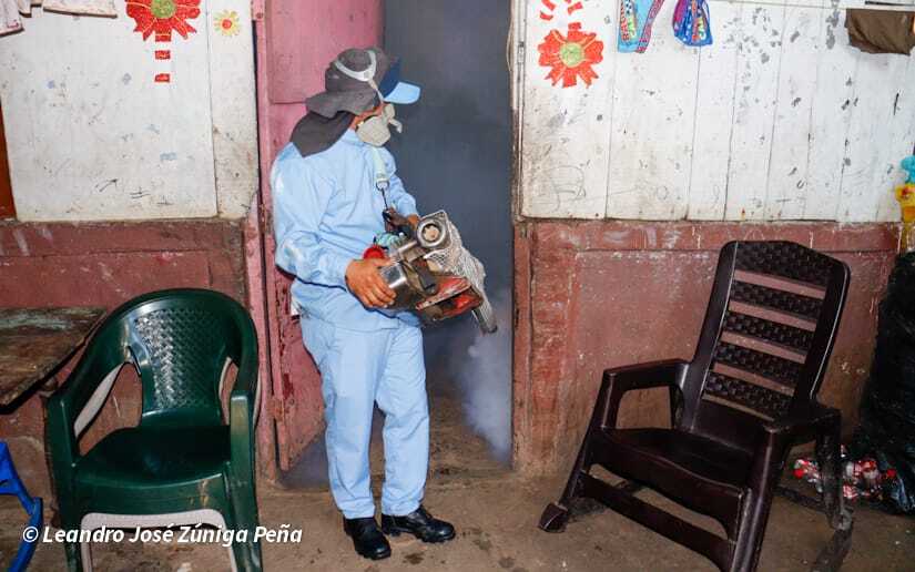 Eliminacion-de-zancudos-5