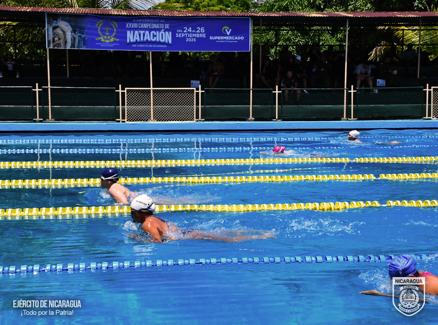 NATACION4
