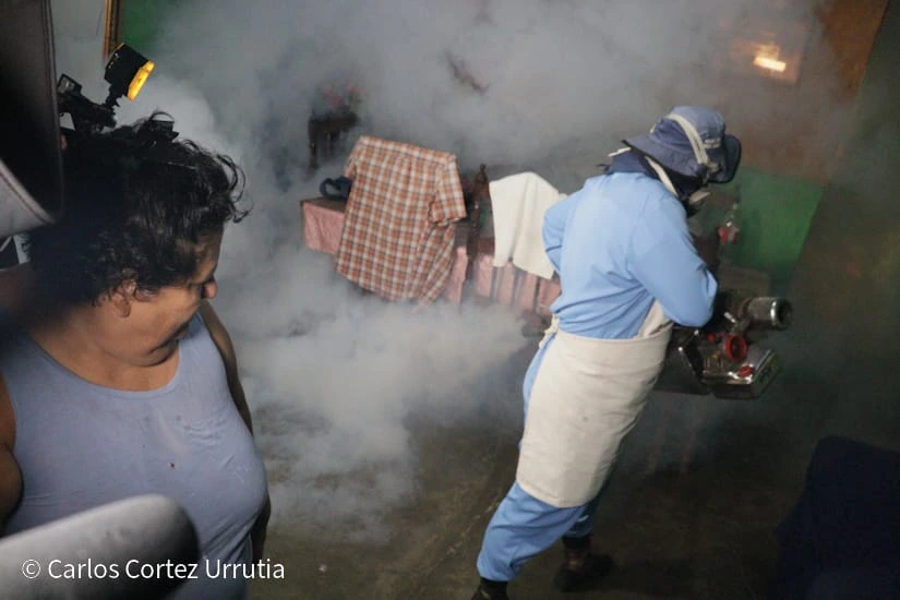 FUMIGACION11