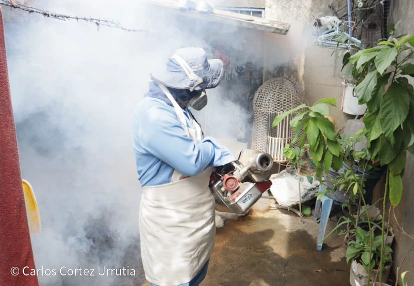 FUMIGACION9