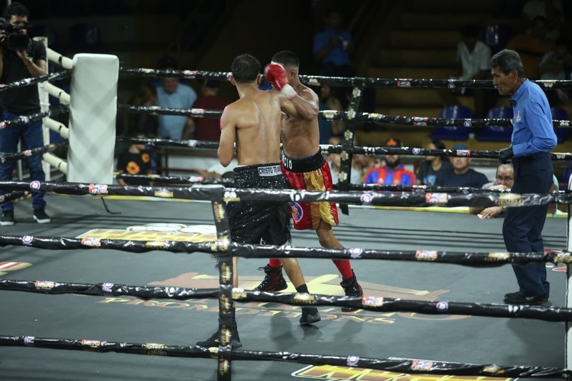 Boxeo--(51)