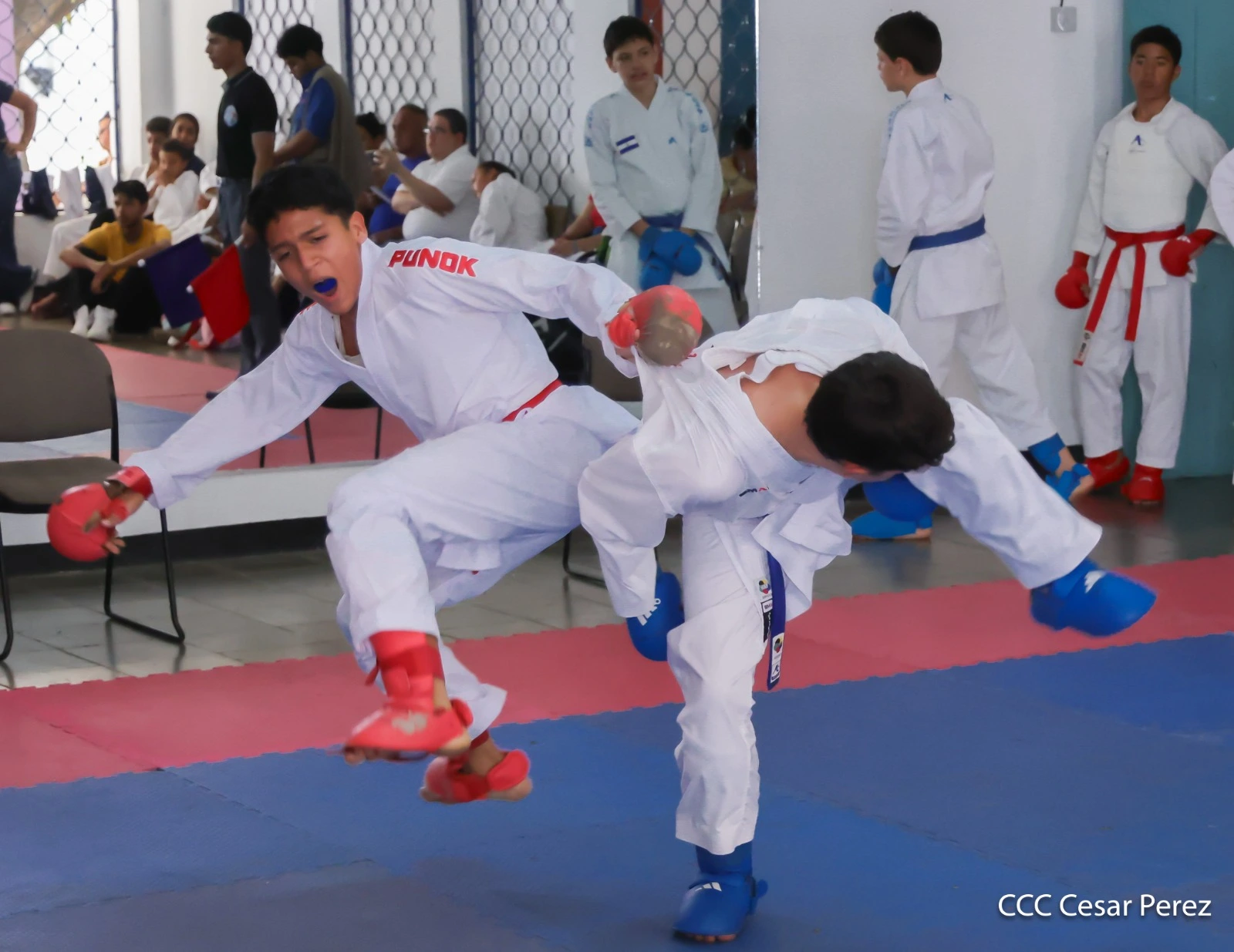 KARATE21