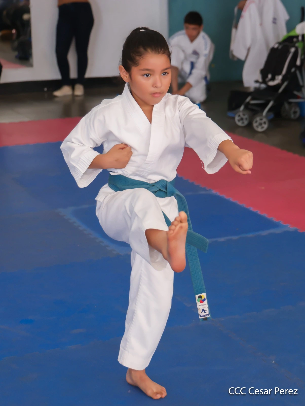 KARATE8