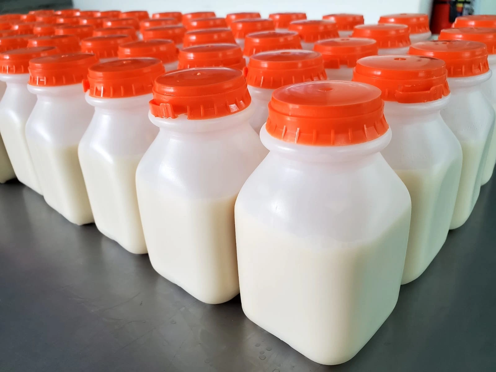 LECHE1