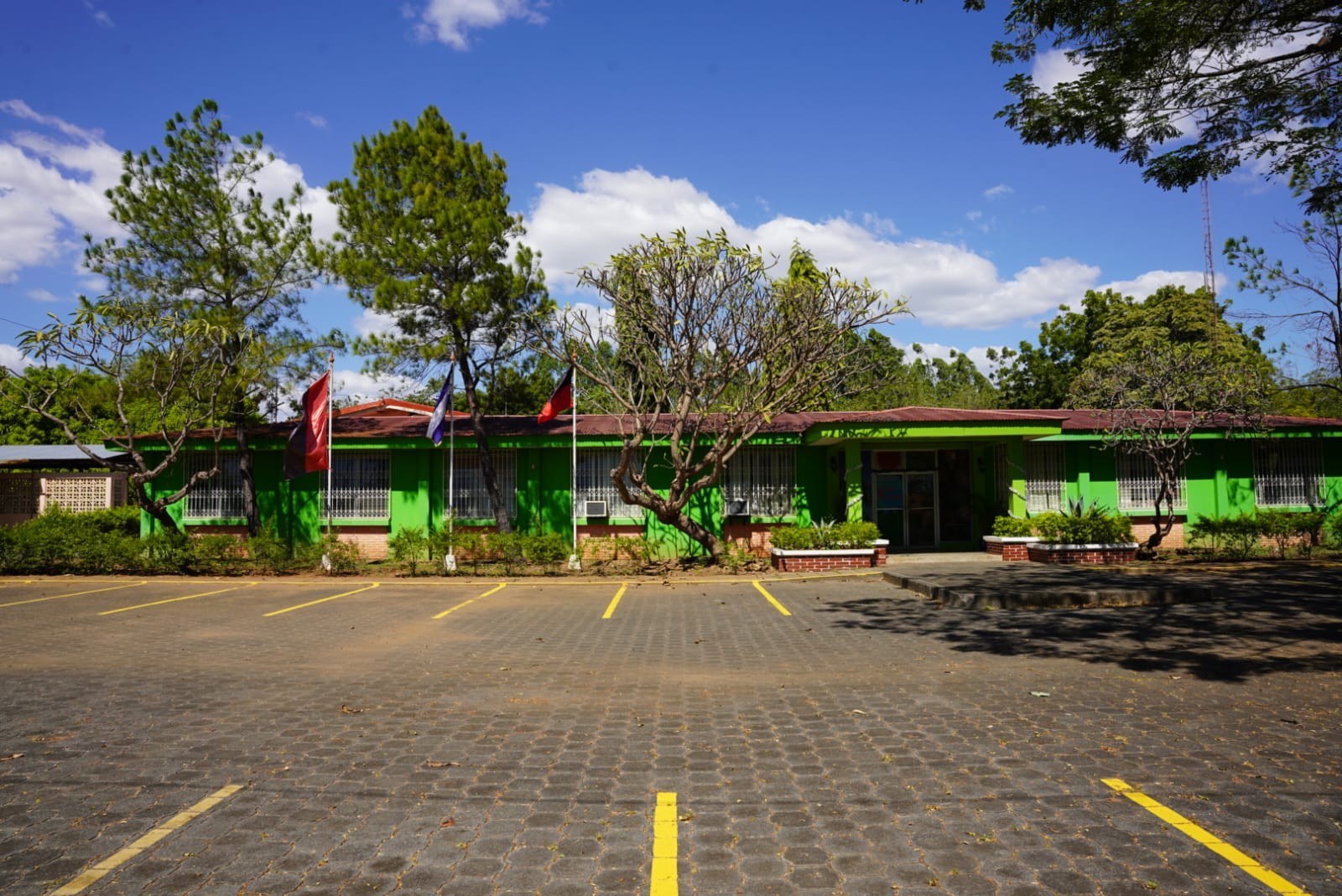 SEMILLAS-FORESTALES1