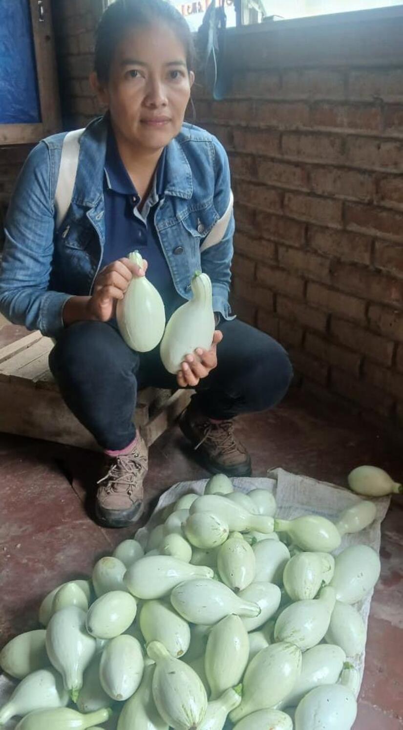 Produccion-de-Pipian-4