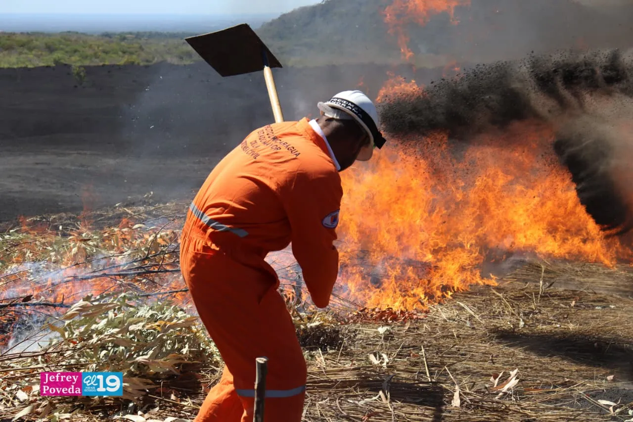 Plan-Incendios-Forestales-18_18_11zon