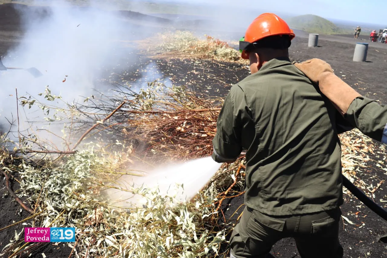 Plan-Incendios-Forestales-22_22_11zon