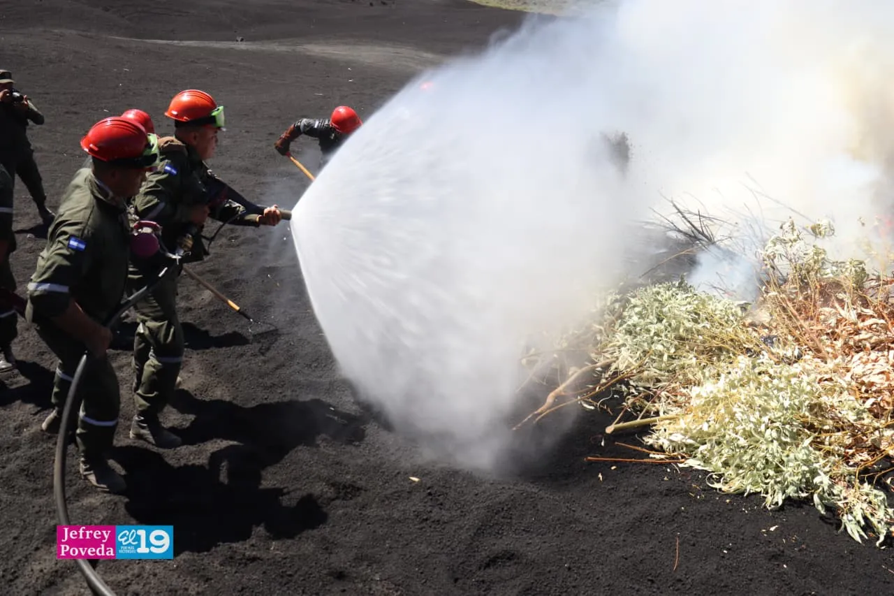 Plan-Incendios-Forestales-24_24_11zon