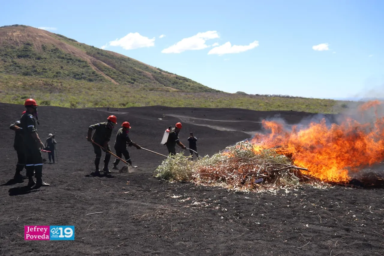 Plan-Incendios-Forestales-26_26_11zon