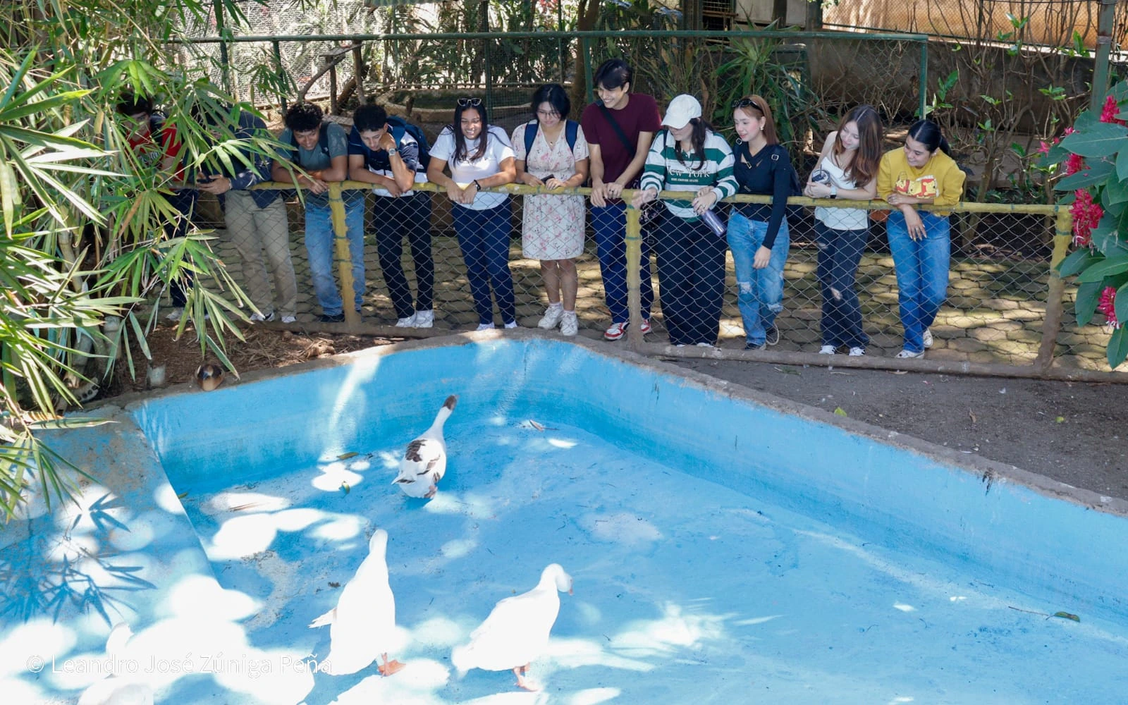 ZOOLOGICO3